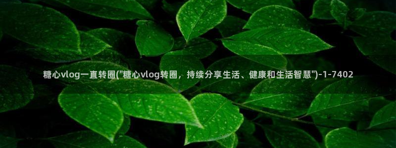 糖心vlog在线