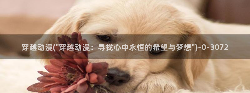 变身动漫