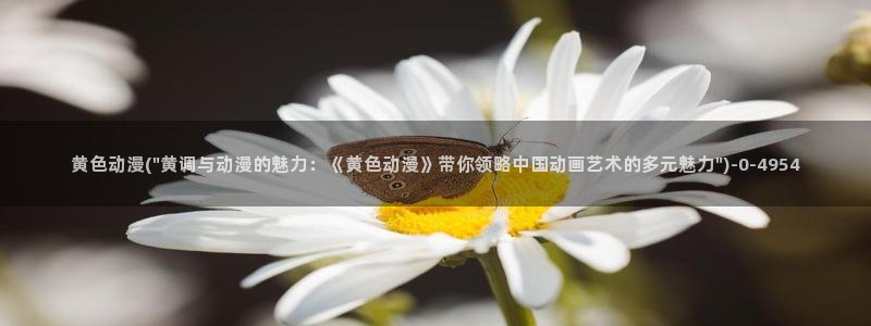 动漫h