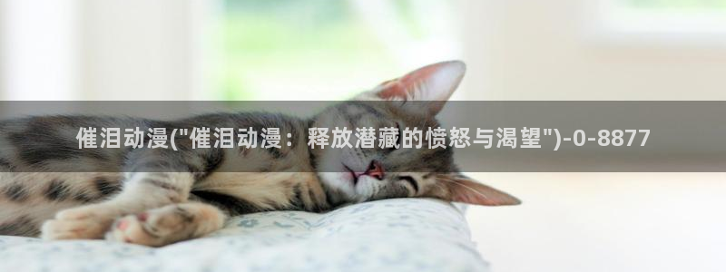 动漫肉片